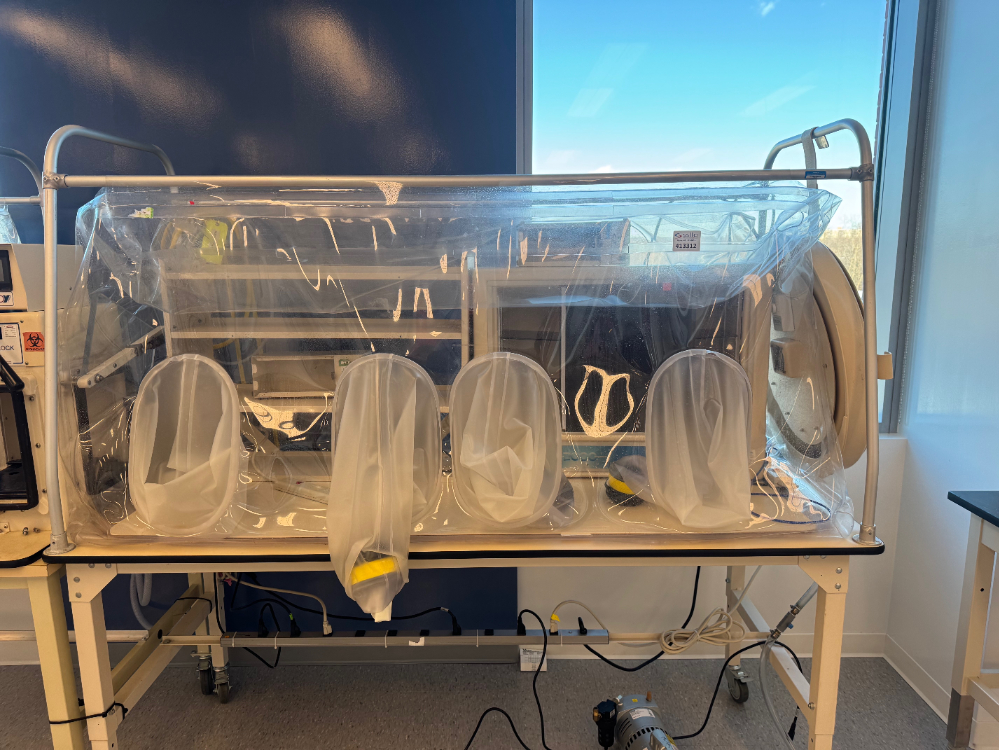 Image of Coy Anaerobic Chamber